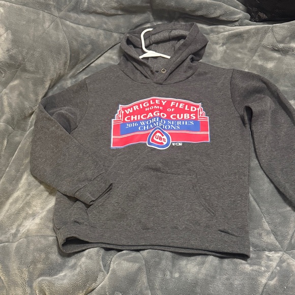 Gray Chicago Cubs Hoodie - Picture 1 of 3